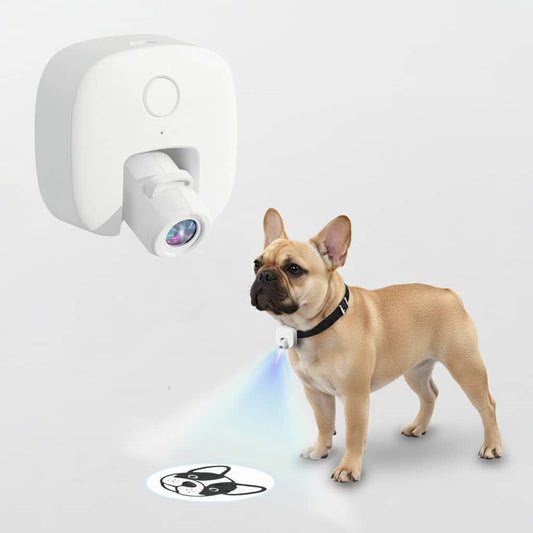 Projection Pet Collar – Customizable  Projection Light for Safe Night Walks