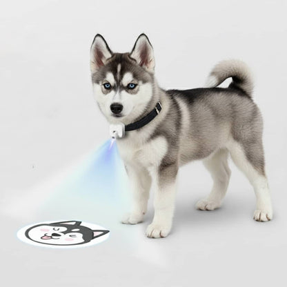 Projection Pet Collar – Customizable  Projection Light for Safe Night Walks